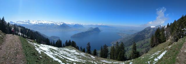 super schönes Breitbildfoto mit Blick auf den Vierwaldstättersee