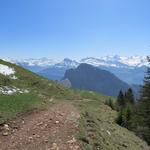 der Wanderweg senkt sich nun