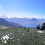 schönes Breitbildfoto mit Blick in die Berge der Zentralschweiz
