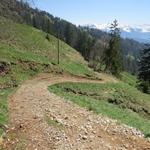 ab hier wird der Wanderweg nun steiler