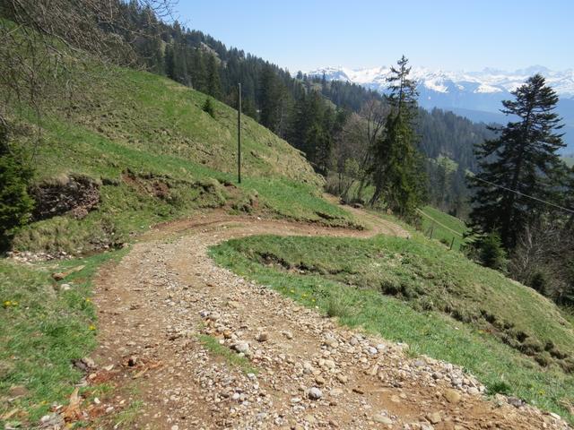 ab hier wird der Wanderweg nun steiler