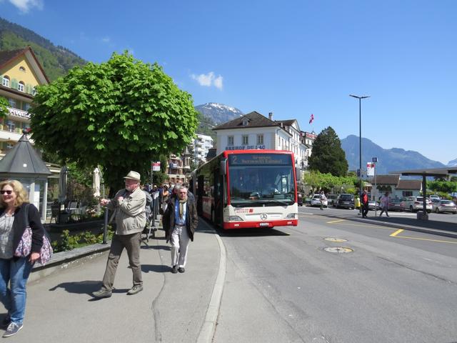 ...geht es danach mit dem Bus zurück nach Weggis