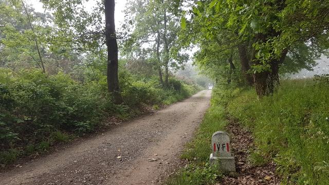 schnurgerade führt uns die Via Francigena Richtung Galleno