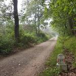 schnurgerade führt uns die Via Francigena Richtung Galleno