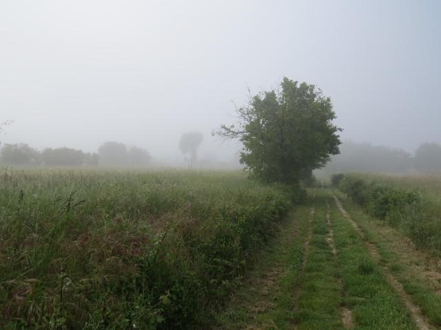 im dichten Nebel durchqueren wir Felder..