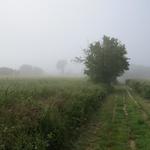 im dichten Nebel durchqueren wir Felder..