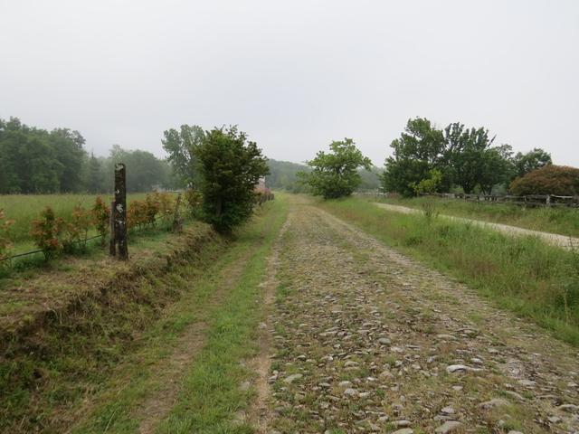 kurz vor Galleno laufen wir über einen original-historischen Abschnitt der Via Francigena