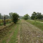 kurz vor Galleno laufen wir über einen original-historischen Abschnitt der Via Francigena