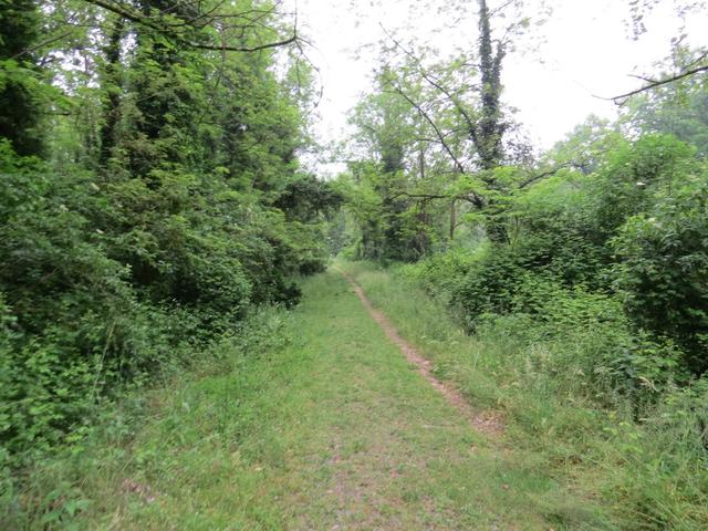 dieser Pflasterweg aus dem 12. Jhr. führt uns direkt nach Galleno