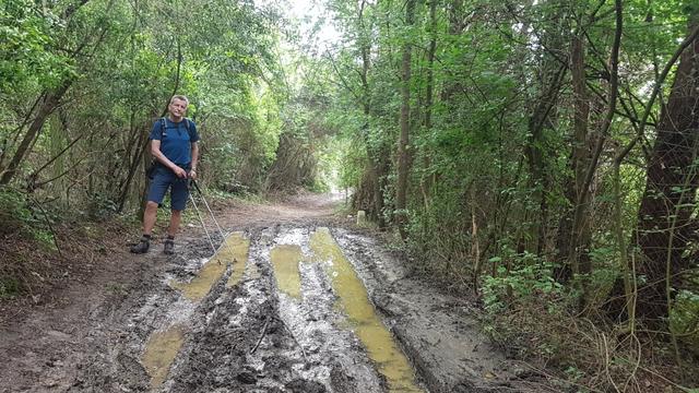 kurz danach führt uns der Weg durch einen dichten Wald, und einen morastigen Weg