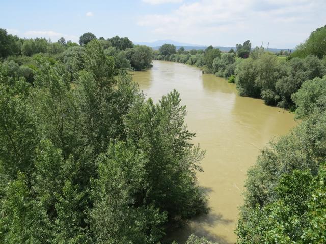 bei starkem Regen in den Bergen schwillt der Arno stark an, und trägt die Sedimente ins Meer