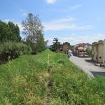 auf der Dammkrone parallel zum Arno, geht es nun weiter Richtung Tagesziel San Miniato