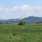 schon von weitem ist San Miniato mit dem Turm Friedrich II ersichtlich