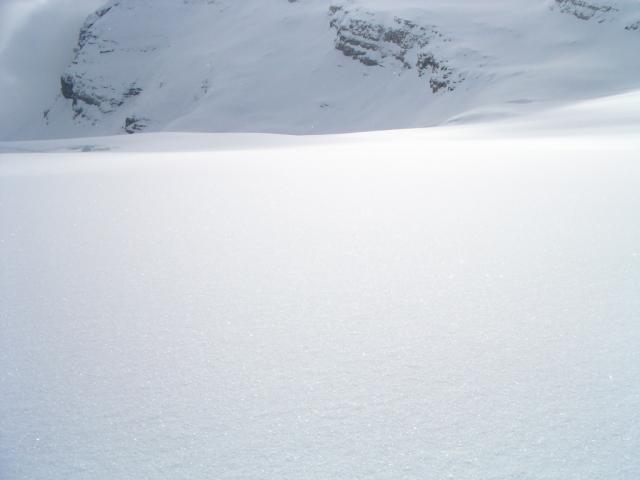 vor uns keine Spuren