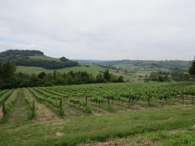 wir geniessen den weiten Blick in die wunderbare toskanische Landschaft