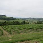 wir geniessen den weiten Blick in die wunderbare toskanische Landschaft