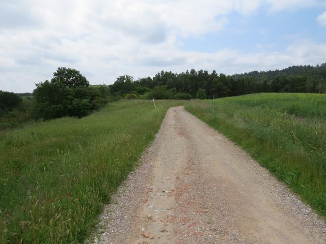 auf dem Weg Richtung Calenzano Primo