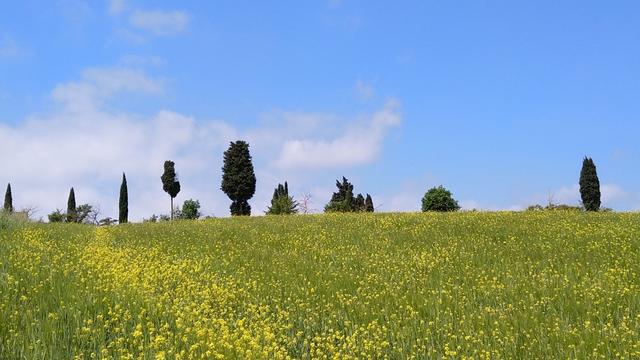 auch heute perfektes Wanderwetter