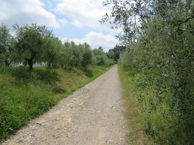 auf dem Weg nach Campriano