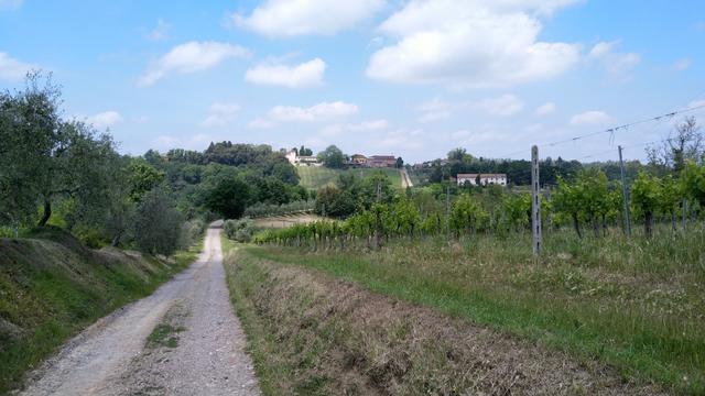 geradeaus sind wir in der hügeligen Landschaft unterwegs