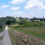 geradeaus sind wir in der hügeligen Landschaft unterwegs