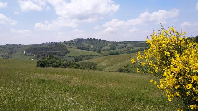 ...und geniessen einen phänomenalen Panoramablick