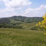 ...und geniessen einen phänomenalen Panoramablick