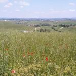 Blick auf die hügelige Landschaft der Toskana