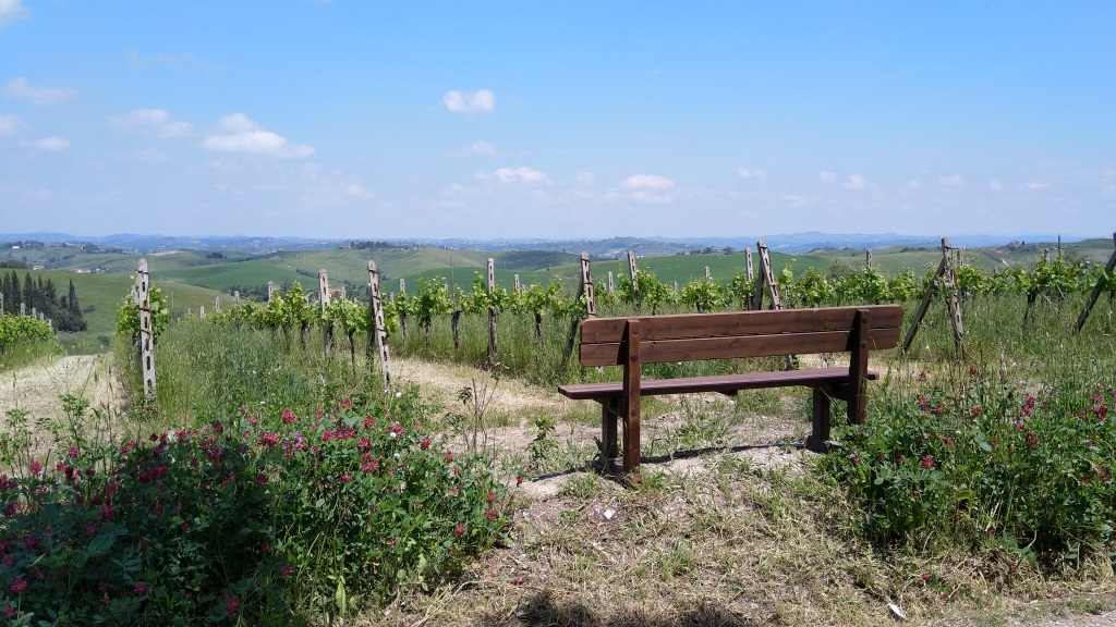 wir erreichen den Hügel und legen bei dieser Bank eine kleine Rast ein, und bestaunen die Chianti-Weinberge