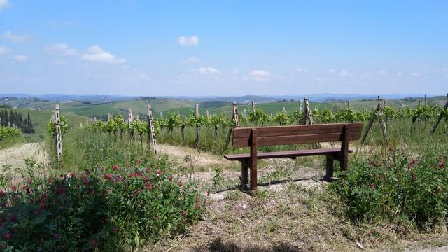 wir erreichen den Hügel und legen bei dieser Bank eine kleine Rast ein, und bestaunen die Chianti-Weinberge