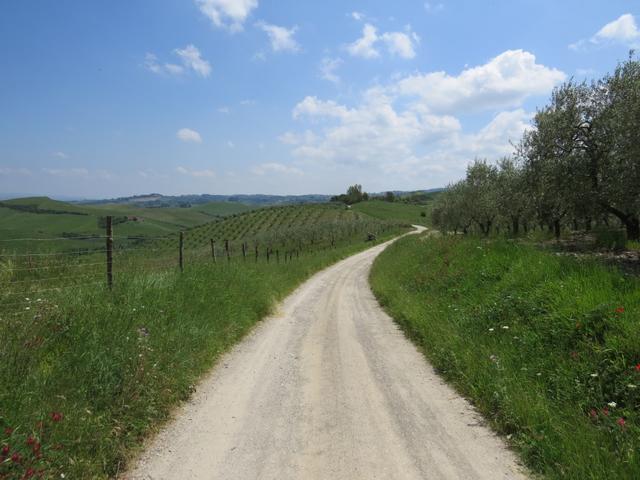 über einen schönen Kiesweg geht es weiter