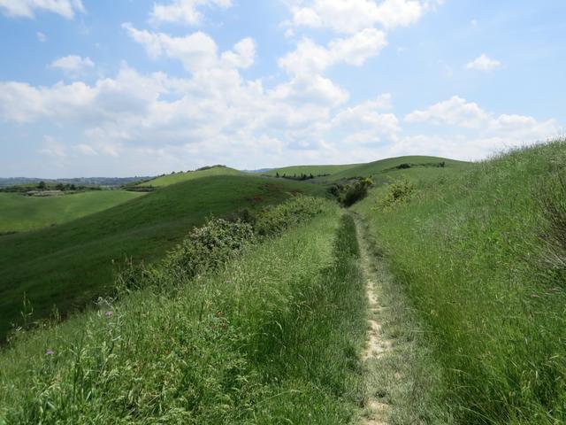 der Weg führt uns nun über eine wunderschöne Graslandschaft