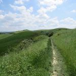 der Weg führt uns nun über eine wunderschöne Graslandschaft