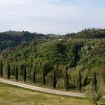 Blick aus dem Fenster in die Toskanische Landschaft