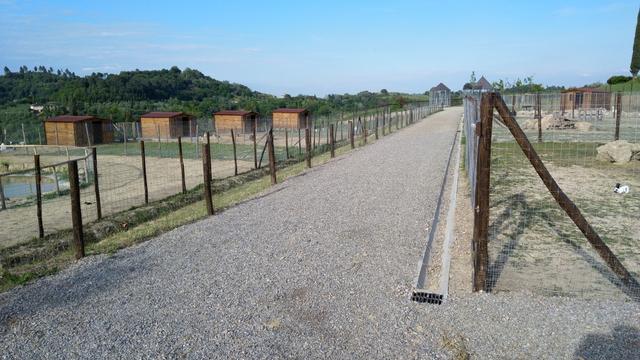 das Agriturismo unterhält sogar ein Streichelzoo mit vielen Tieren