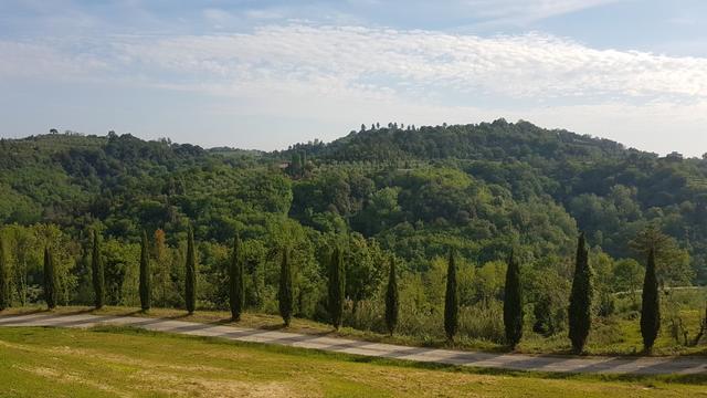 über eine schöne Strasse verlassen wir mit dem Auto das Agriturismo Colleoli in Palaia...