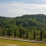 über eine schöne Strasse verlassen wir mit dem Auto das Agriturismo Colleoli in Palaia...