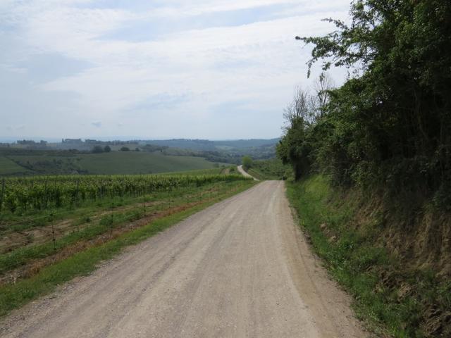 über eine langgezogene Landstrasse geht es nun sanft abwärts