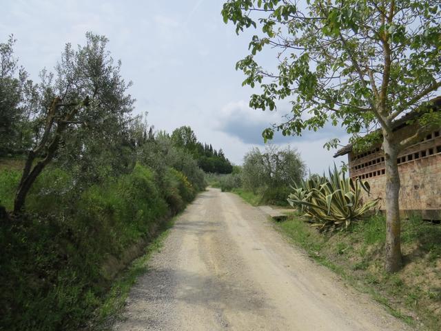 über einen sehr schönen Wanderweg wandern wir weiter Richtung Pancole