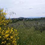 wir nähern uns mit herrlichen Blicken auf San Gimignano 