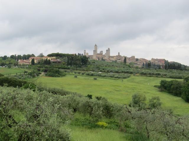 schon nach kurzer Zeit liegt San Gimignano weit hinter uns