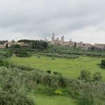 schon nach kurzer Zeit liegt San Gimignano weit hinter uns