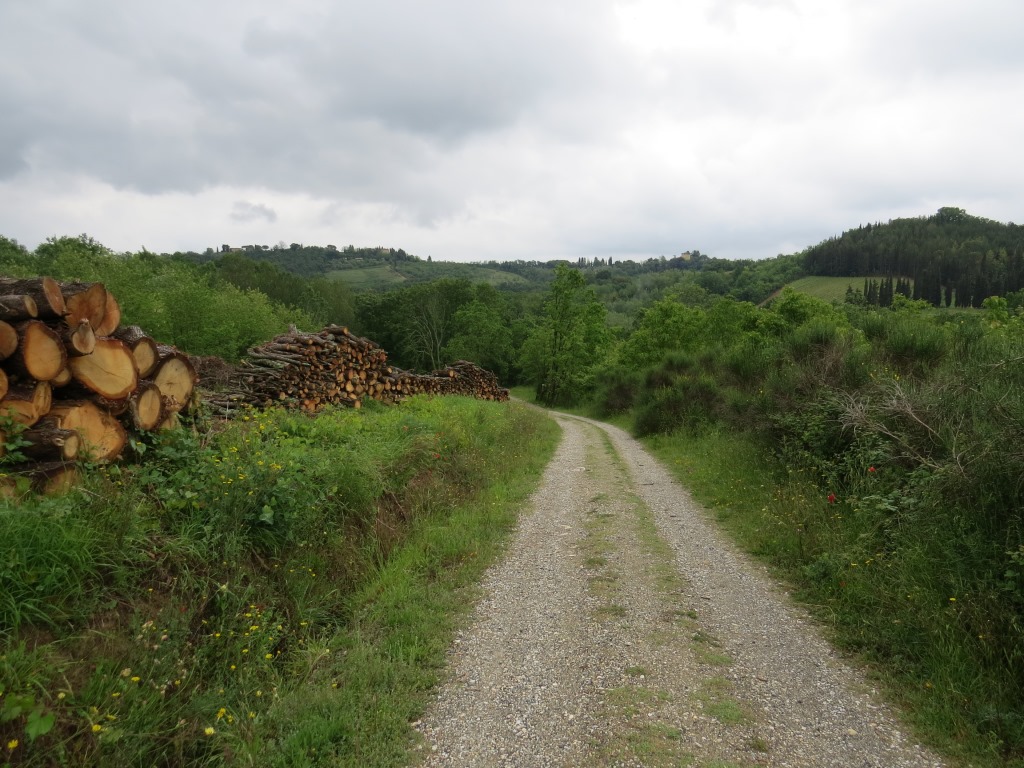 auf einem Schotterweg wandern wir abwärts...