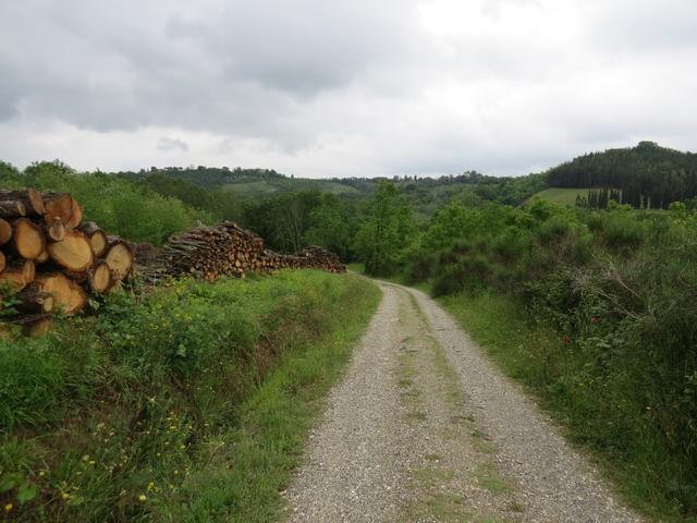 auf einem Schotterweg wandern wir abwärts...