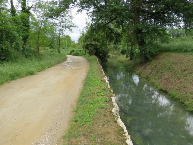 parallel zu einem Bach wandern wir durch den Wald