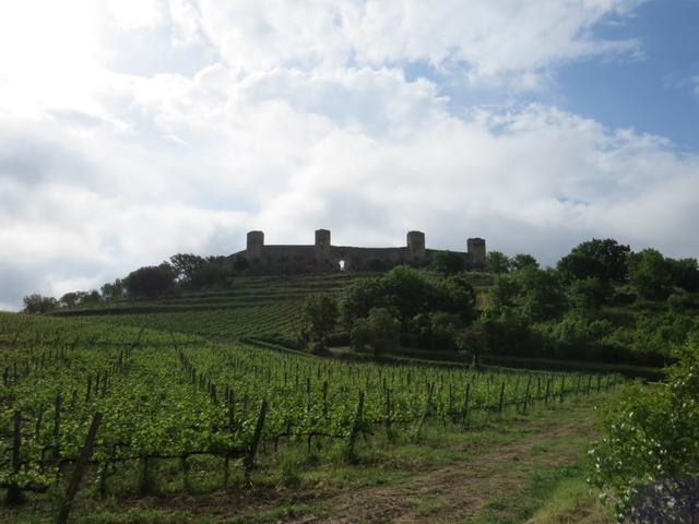 Blick hinauf zur Burg von Monteriggioni auf dem Monte Ala