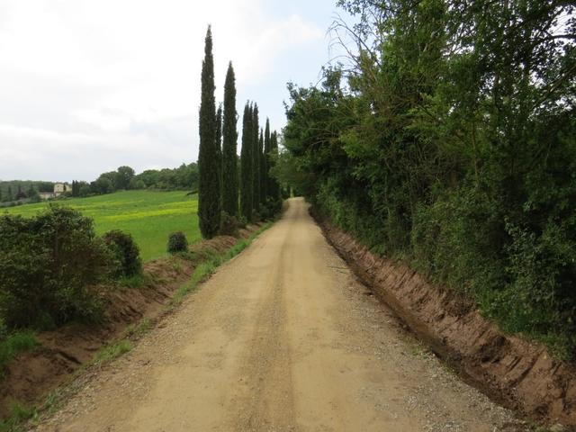 über einen schönen Kiesweg verlassen wir Monteriggioni