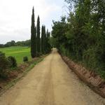 über einen schönen Kiesweg verlassen wir Monteriggioni