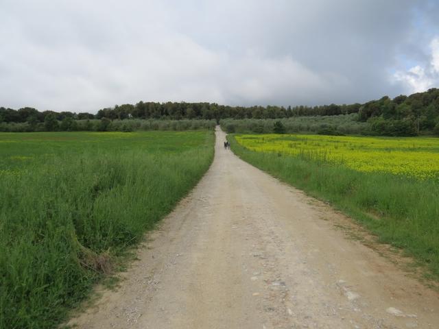 wir wandern nun Richtung Castello della Chiocciola