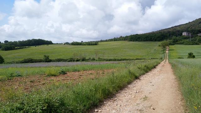 schönes Breitbildfoto. Bei Breitbildfotos nach dem anklicken, immer noch auf Vollgrösse klicken